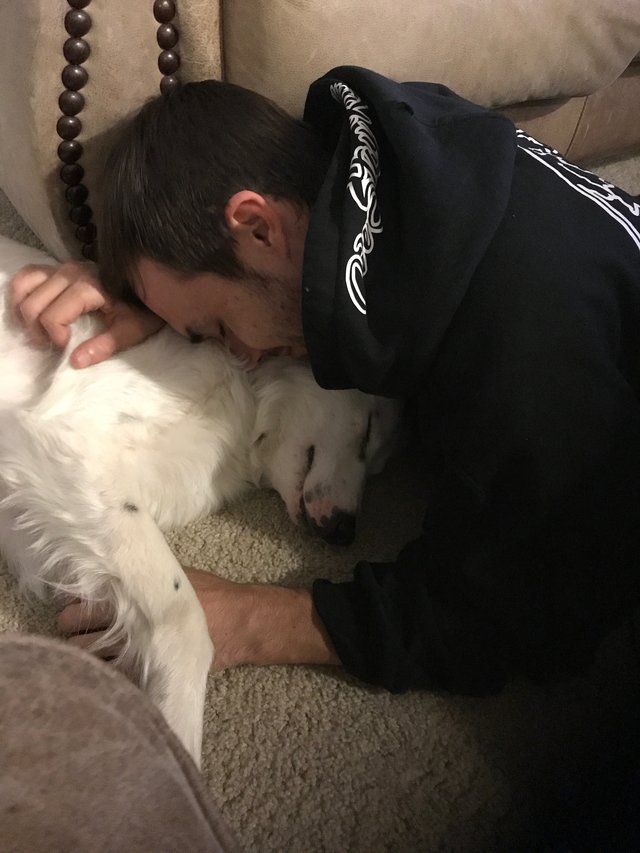 Dog Who Was Too Hurt To Be Pet Can’t Stop Cuddling His New Dad