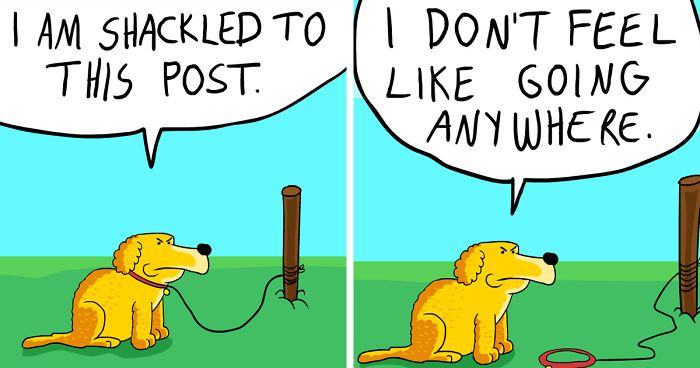 Hilarious ‘Coco The Pessimist Dog’ Comics That Every Pessimist Will Relate To