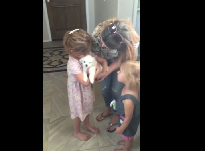 Girls Begged Mom For Puppy, When They Finally Get It, One Of Them Can’t Hold Back The Tears