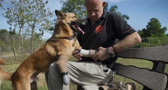 Dog Maimed By Angry Neighbor Now The World’s First Canine “Blade Runner”