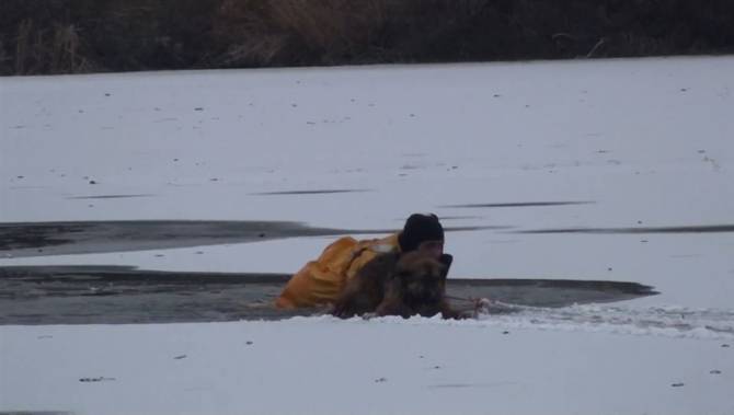 Illinois Firefighters Rescue Man & Dog From Icy Lake