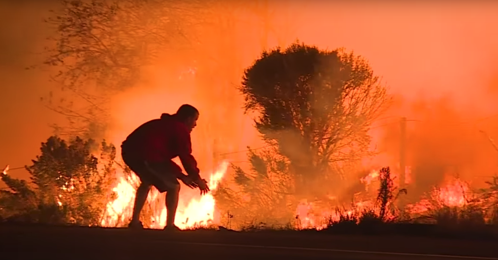 Anonymous Hero Braves A Blazing Inferno To Save A Wild Rabbit