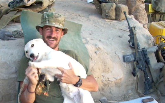 Marine Met A Stray Dog In Afghanistan And Knew He Couldn’t Go Back To The U.S. Without Him