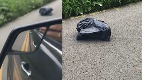 Woman Pulls Over When She Sees A Trash Bag Walking Down The Street