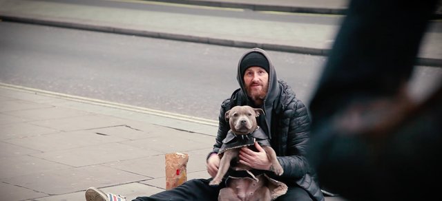 People Are Giving Winter Coats To Dogs Whose Owners Are Homeless