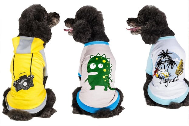 The Best Pieces Of Clothing For Dogs On Amazon