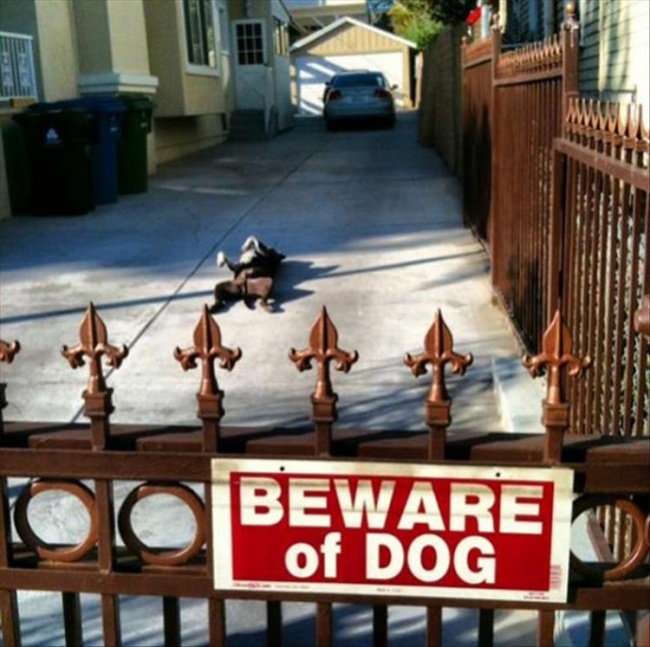 ‘Beware Of Dog’ Signs And The Very Scary Reasons For Them
