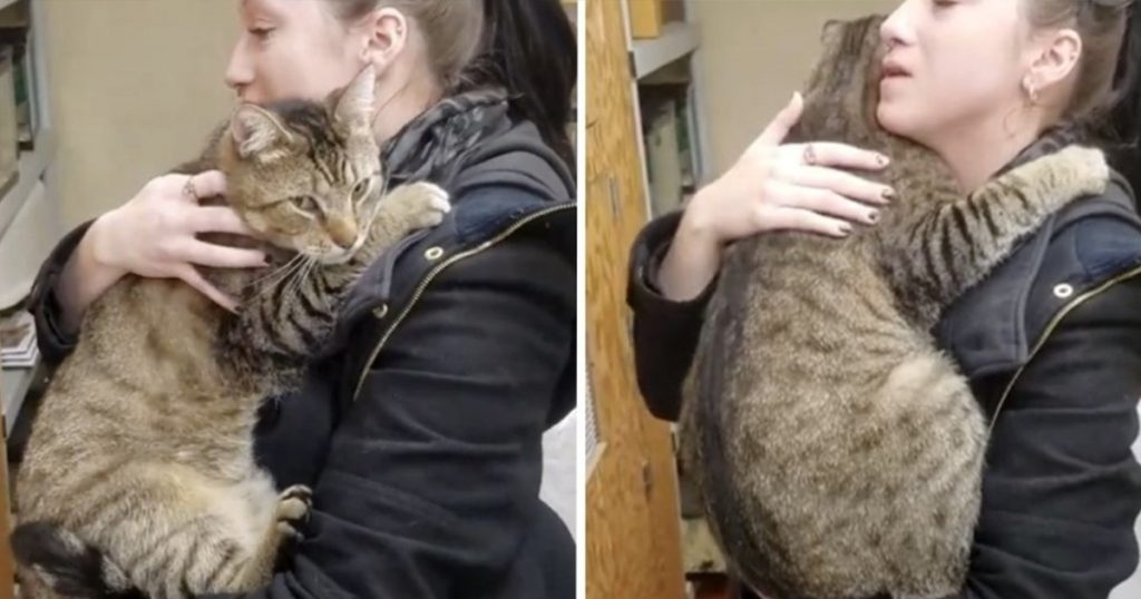 Woman Gives Pet-Store Cat Hug Goodbye— Then Snuggly Tabby Refuses To Let Go