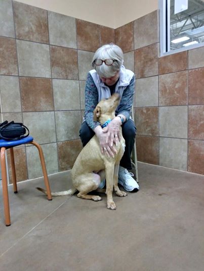 Woman Finds Kindred Spirit In Shelter Dog Who Shared Her Heart Condition