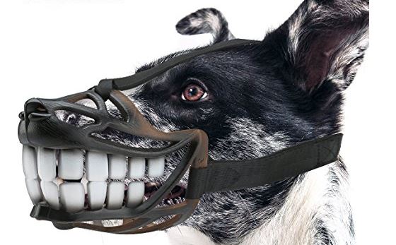 The Most Bizarre And Cool Products That You Can Actually Buy For Your Dog