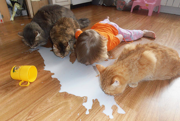 15 Kids Who Have Been Hanging Out With The Pets For Far Too Long