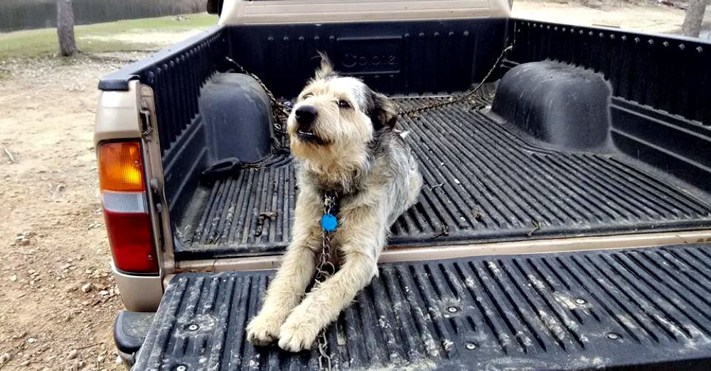 This Dying Man Had One Last Wish That Involved His Dog