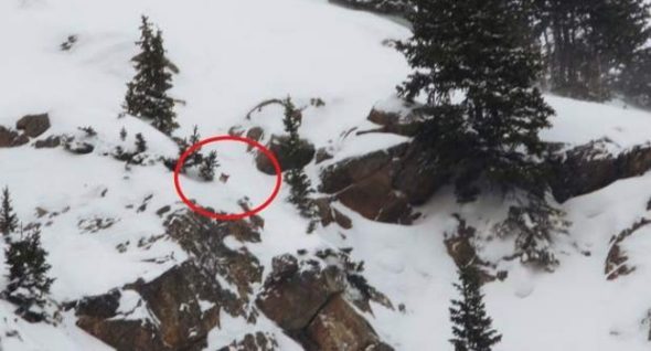 “It Was Like A Death Sentence For Him.” Daring Ice Climbers Rescue Dog Trapped Overnight On Mountain