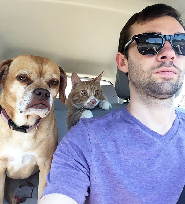 20 Times Dogs Realized They’re Going To The Vet And Not The Park