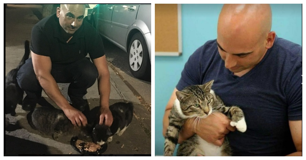 A Man Fed A Stray Cat One Night, Never Expecting It To Snowball To An Extreme 3 Years Later