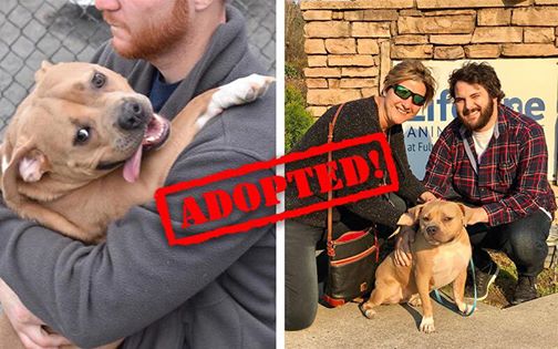 Dog Returned To Shelter For Being “Too Nice” Finds Family As Nice As She Is