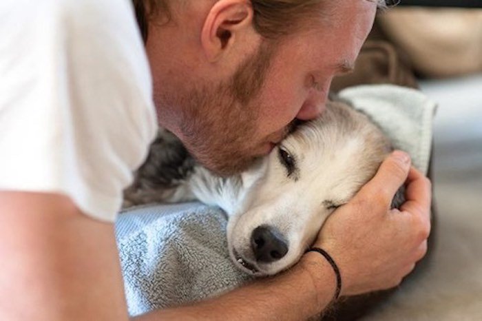 Touching Photo Captures Emotional Farewell Between a Man and His Best Friend