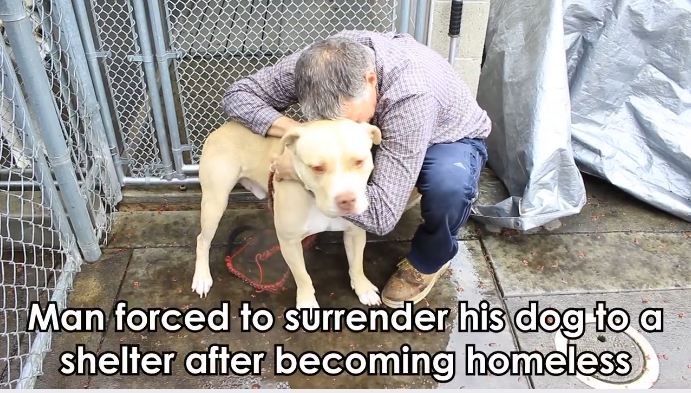 Heartbroken Homeless Man Hoped To Find A Foster For His Dog … Instead, He Found A Home!