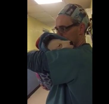 Vet Calms Rescued Pit Bull After Surgery By Cradling The Scared Pup