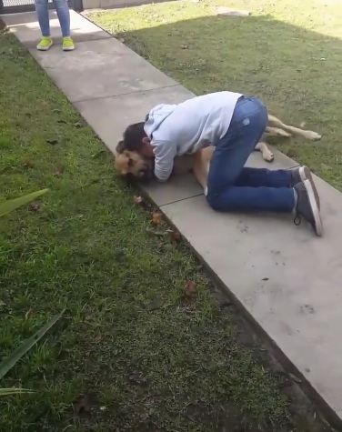 Boy Thought His Dog Was Gone Forever, And He Bursts Into Tears Upon Seeing Him Again