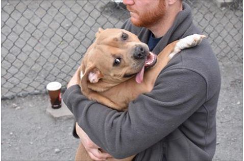 Dog Returned to Shelter for Being ‘Too Nice’ Goes Viral, Finds Perfect Family