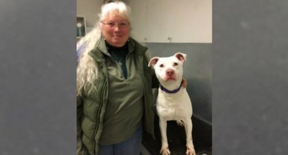 Dog Deemed “Unadoptable” Will Become Washington’s First Deaf K-9