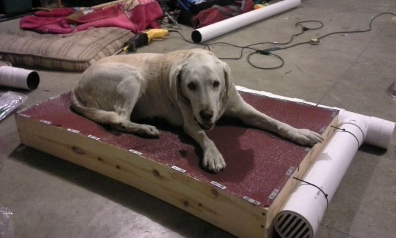 Man Builds Air-Conditioned Bed To Help Keep His Dog Cool While Outside