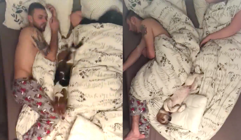 Time Lapse Video Documents Dog’s Hilarious Nighttime Antics In Parents’ Bed