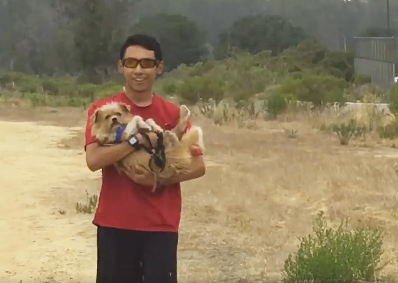 High School Cross Country Team Helps Shelter Dogs By Taking Them Along On Runs