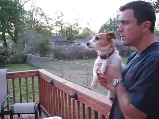 Jack Russell totally loses it after owner mentions squirrels