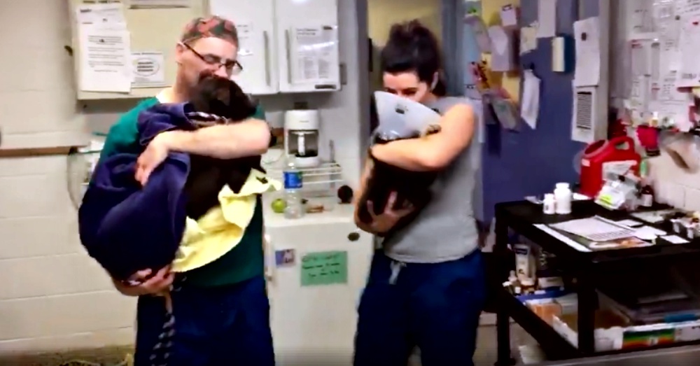 This Clinic Doesn’t Just Treat Animals, It Serenades Them