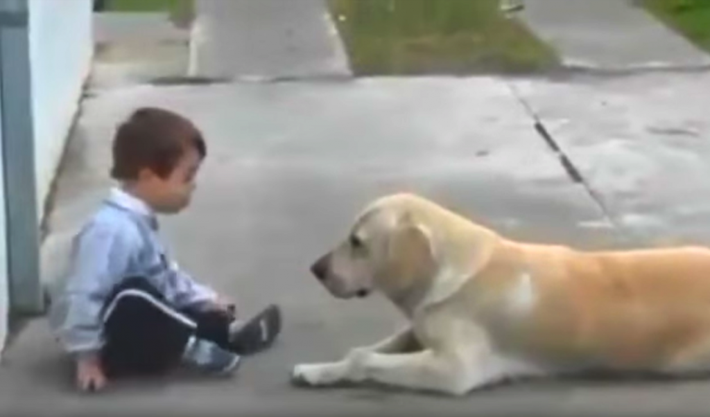 Dog Befriends Little Boy With Down Syndrome Once Again Proving Dogs Are The Best