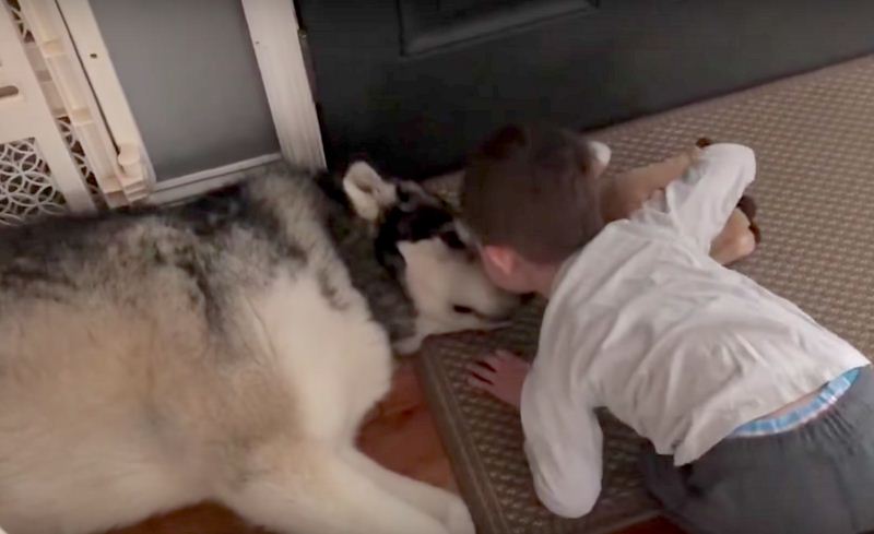 Toddler Says A Sweet Goodbye To His Dog For The Day