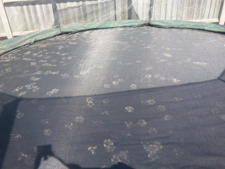Man Finds Two Holes Coming Into His Backyard, Then Sees Footprints On The Trampoline