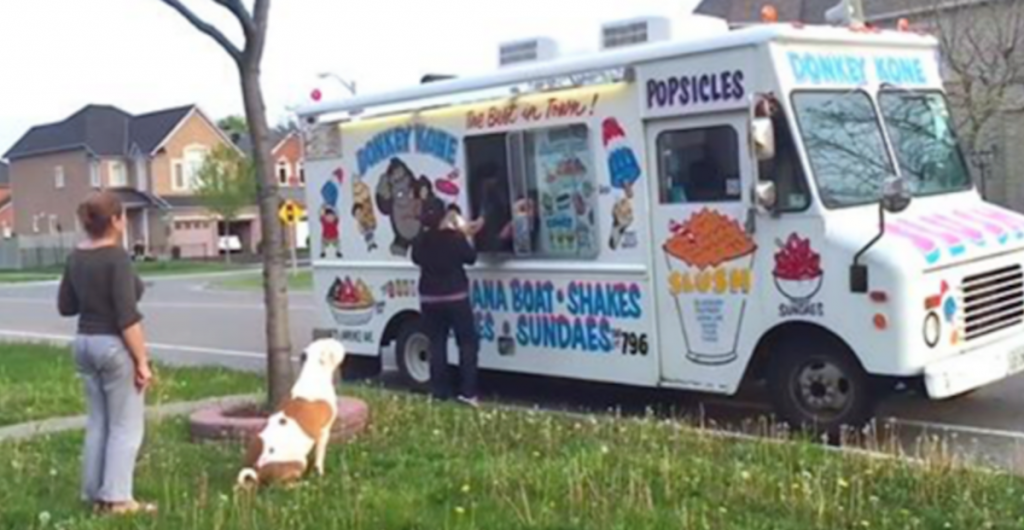 Pit Bull Surprises Everyone By Patiently Waiting In Line For Ice Cream