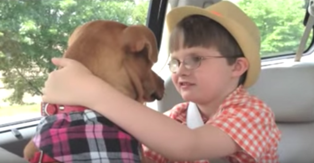 A Dying Dog Meets A Boy With Autism, And Both Of Their Lives Are Changed Forever