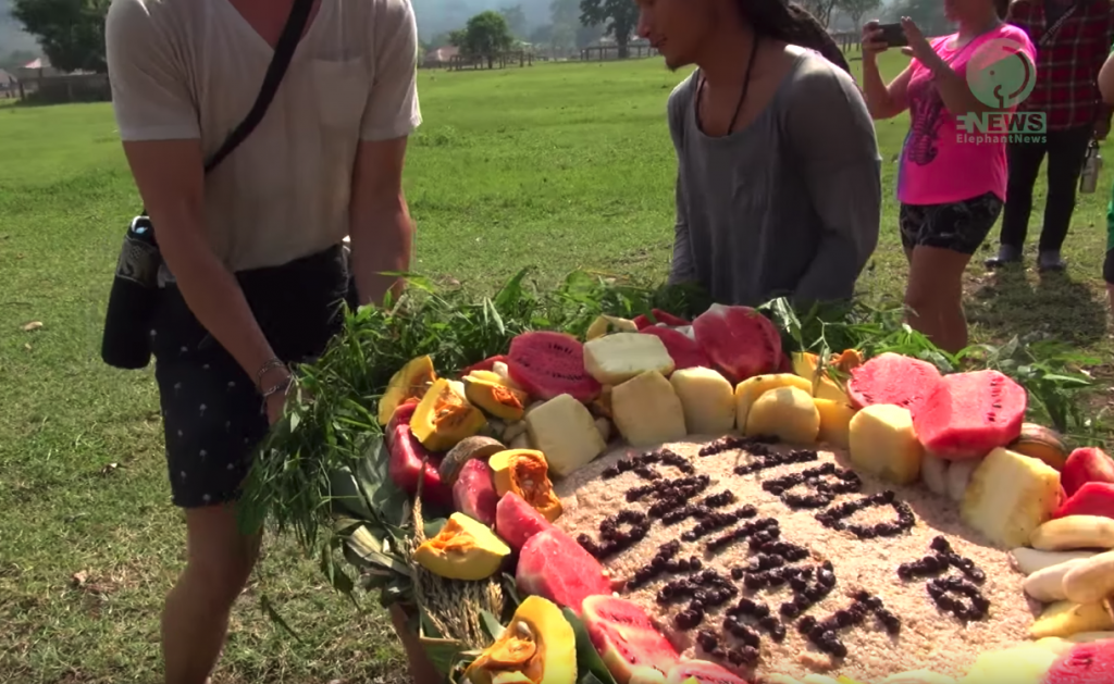 Elephant Gets Cake From Volunteers For Her 9th Birthday, Happily Shares It With Her Friends