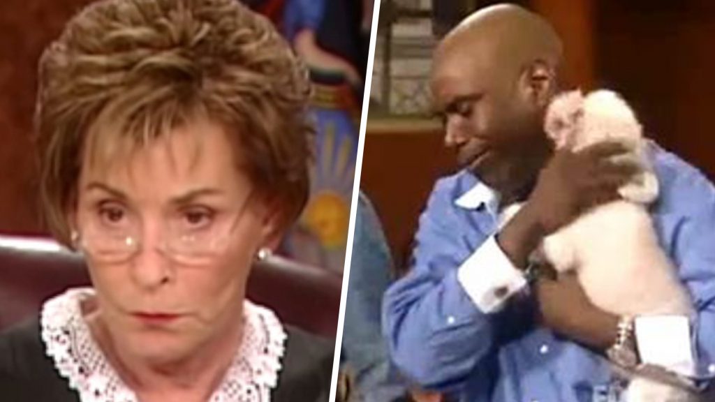 Judge Judy Lets Stolen Dog Run Loose In Courtroom To Identify His One True Owner