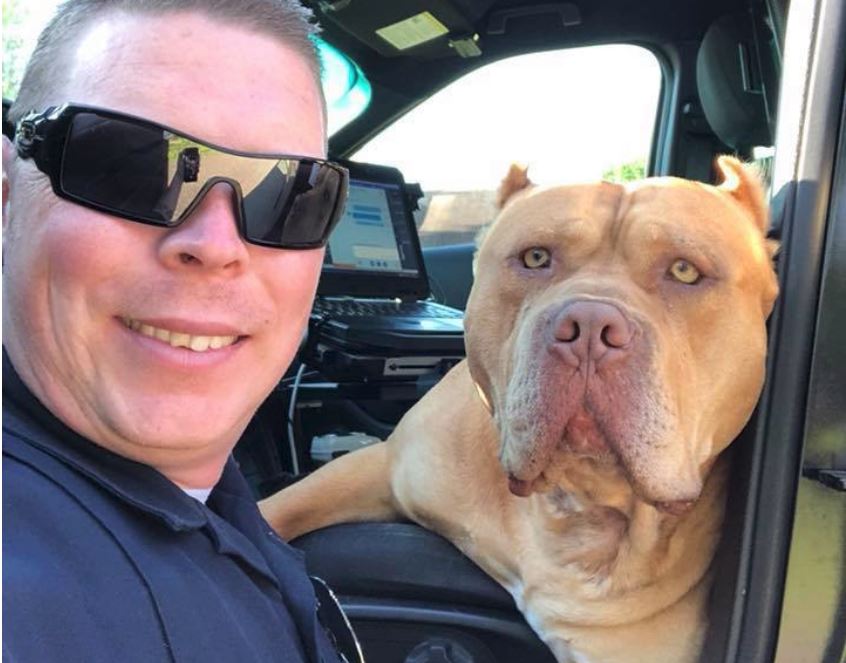 Officer’s encounter with ‘vicious’ dog recounted by department