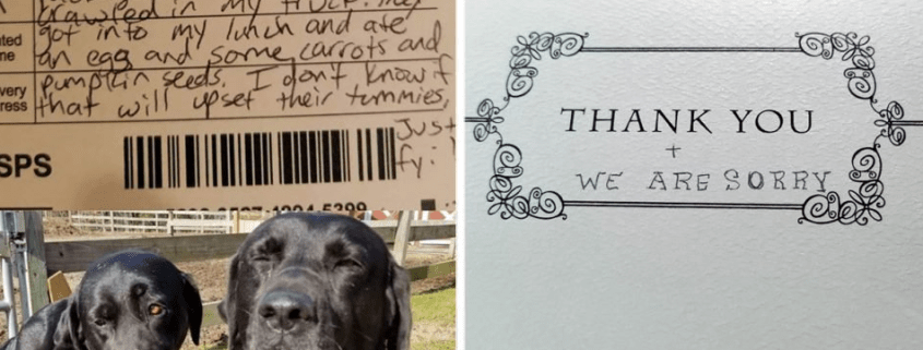 Adorable canine thieves outed by postal carrier