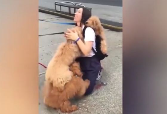 Woman quickly learns dog cuddles are the best cuddles