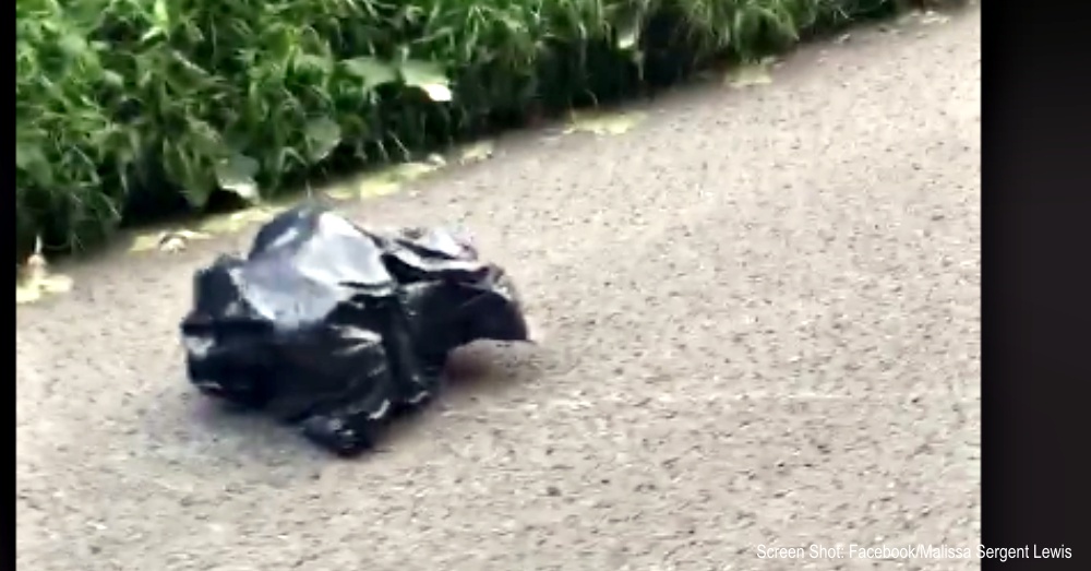 Woman Sees Trash Bag Moving In The Road And Stops To Check It Out