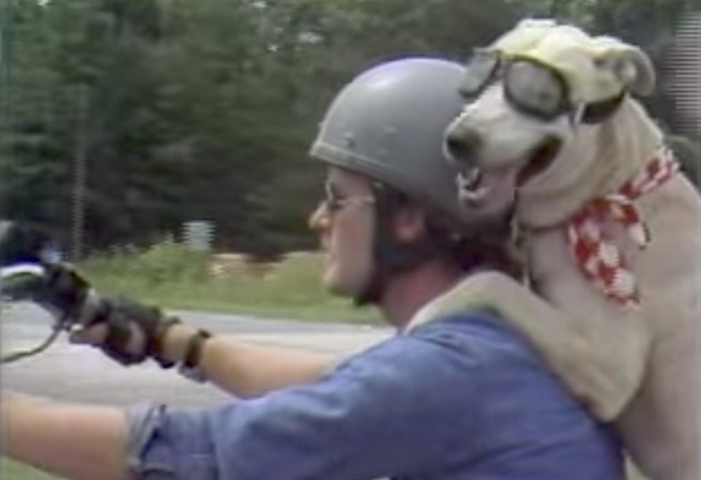 Man Traded A Beer For A Dog And Gained A Best Friend For The Road