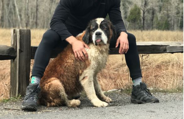 Hero Quits His Job To Travel The Country And Save All Of The Shelter Dogs