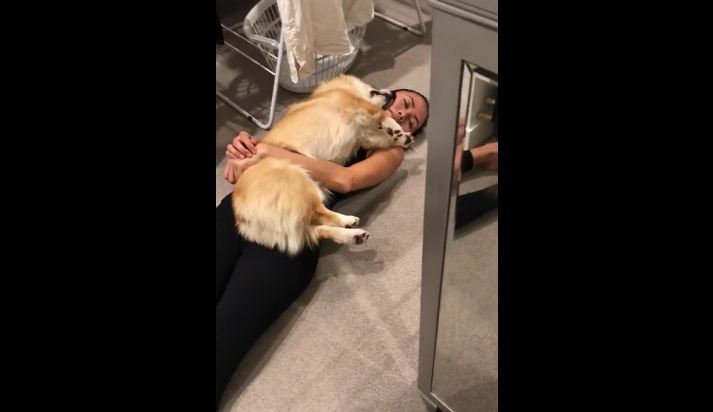 Young Woman And Dog Sleep On The Floor In A Heavenly Embrace