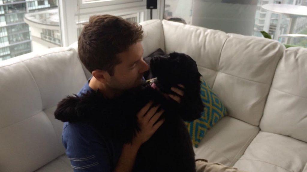 Dog Walks Around Corner After Eye Surgery To See Her Owners For The First Time