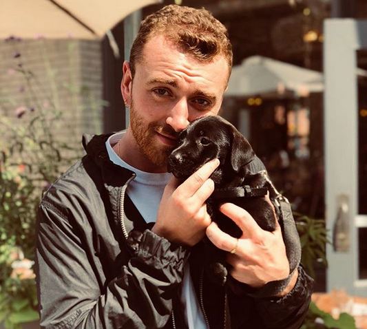 British crooner Sam Smith cuddles stranger’s dog in Denver