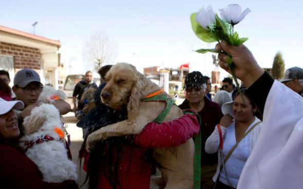 Dog Day in Bolivia! Church celebrates the patron saint of puppers.