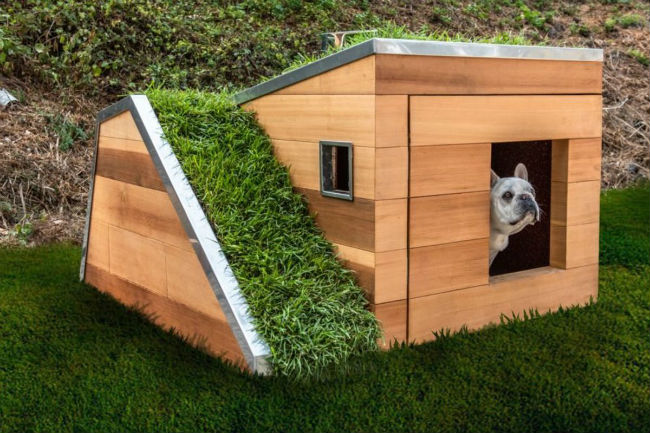 This sustainable dog house is design-forward, eco-friendly and has a hidden drawer for stashing treats