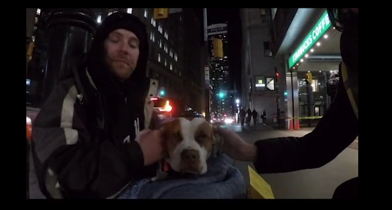 Man Explains Why Pets Mean So Much To Those Who Are Homeless